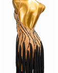 Crystalline Fringe&Rhinestones Latin Dress Latin/Rhythm