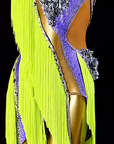 Crystalline Color‑Contrast 3D Floral Fringe Dress Latin/Rhythm