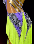 Crystalline Color‑Contrast 3D Floral Fringe Dress Latin/Rhythm