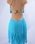 Crystalline&Unique‑Cut Fringe Latin Dress Latin/Rhythm