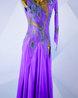 Crystalline Peacock Gradient Chiffon Skirt American Smooth Dress Standard/Smooth