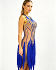 Crystalline Fringe&Rhinestones Latin Dress Latin/Rhythm