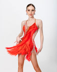 Beaded Fringe Crystallized Latin Dress Latin/Rhythm
