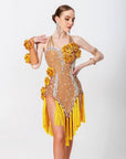 3D Roses Fringe Crystalline Latin Dress Latin/Rhythm 