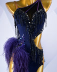 Beaded & Ostrich Feather Latin  Dress Latin/Rhythm  