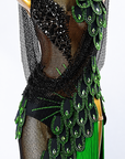 Crystalline Peacock Latin Dress Latin/Rhythm 