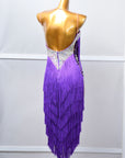 Crystalline Fringe  Latin Dress Latin/Rhythm 