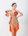 3D Roses Fringe Crystalline Latin Dress Latin/Rhythm 