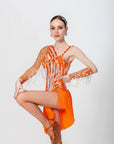 One-shoulder Crystalline Beaded Fringe Latin Dress Latin/Rhythm 