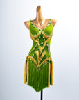 Golden Line  Crystallized Fringe Latin Dress Latin/Rhythm 