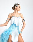 Ostrich Feather Crystalline Fringe Latin Dress Latin/Rhythm 