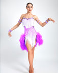 Ostrich Feather Crystalline Fringe Latin Dress Latin/Rhythm 