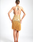 Chrisanne Shine Lycra Fringe Crystalline Latin Dress Latin/Rhythm 