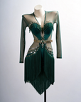 Long-sleeves Crystalline Fringe Latin Dress Latin/Rhythm 