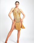 Chrisanne Shine Lycra Fringe Crystalline Latin Dress Latin/Rhythm 