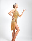 Chrisanne Shine Lycra Fringe Crystalline Latin Dress Latin/Rhythm 