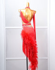 One - shoulder Ostrich Feather Crystalline Latin Dress Latin/Rhythm 