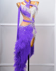 One - shoulder Ostrich Feather Crystalline Latin Dress Latin/Rhythm 