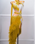 One - shoulder Ostrich Feather Crystalline Latin Dress Latin/Rhythm 