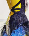 Crystalline Beaded Ostrich Feather Latin Dress Latin/Rhythm 