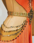 Long-sleeves Crystalline Fringe Latin Dress Latin/Rhythm 
